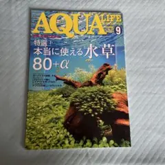 AQUA LIFE 9月号 水草特集