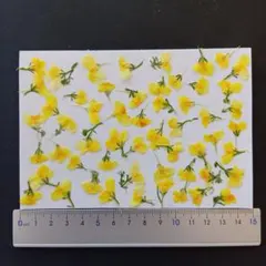 星@様 リクエスト 6点 まとめ商品