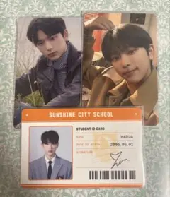 &TEAM FirsHowling トレカ【HARUA】