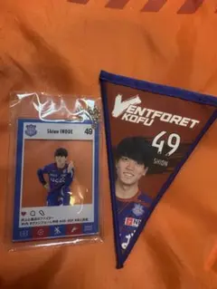 Item thumbnail for item 0ca60290-cfba-4d2a-aa8d-a028926f38df