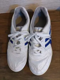 Item thumbnail for item 8831b392-f3e4-4f6c-aa59-32b11c45496d