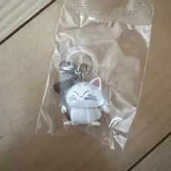 ドラゴンボール めじるしアクセサリー カリン様