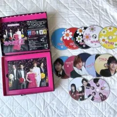 超美品/動作確認済】花より男子2・ファイナル DVD/パンフレット/公式