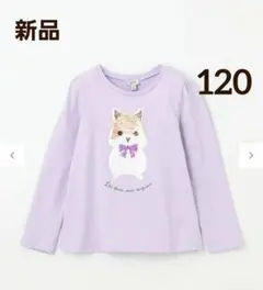 【新品】エニィファム ミラクルスパンコール 長袖 Tシャツ 120cm ねこ