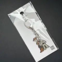 ディズニー　ピクサー　ウッディ　バズ・ライトイヤー　トイストーリー　キーホルダー