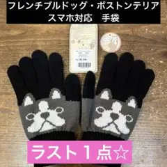 Item thumbnail for item 463c850d-5ca6-439c-a375-b4eebf310725