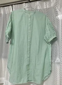 グリーン ストライプ バンドカラーシャツ 半袖 春夏 レディース