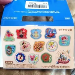 デイジー 東京ディズニーリゾート マグネット 2個セット