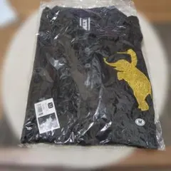 Item thumbnail for item 6746ead7-2133-4122-a749-12ec41427fe9