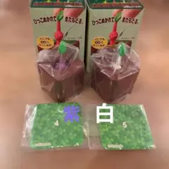 ムゲンひっこぬきピクミンLite 紫 白