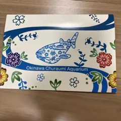 Item thumbnail for item 7618a0f1-fd06-43a2-881f-fe475b851f05