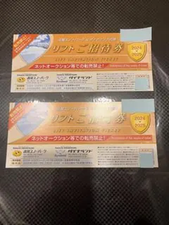 高鷲/ダイナランド共通リフト券 24~25シーズン 高鷲スノーパーク＆ダイナランド共通リフト券