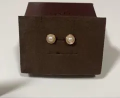 agete ピアス(両耳用)