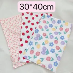 Item thumbnail for item 7fbc7800-31a5-4688-a22a-7a622ac5c8a0