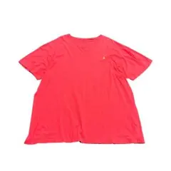 90s POLO RALPH LAUREN VネックTシャツ シングル　8Sb