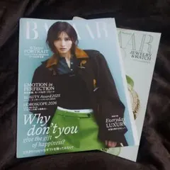 Item thumbnail for item 2d1d2c62-b6c5-416c-9dc4-f7aac2d19da0