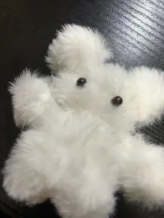 ぽわぽわのいのち【専用】