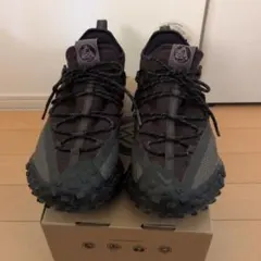 NIKE ACG マウンテンフライ ブラウンのサムネイル