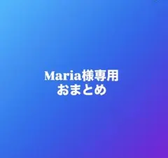 Maria様専用おまとめ