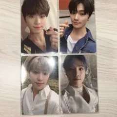 ディノ トレカ セット