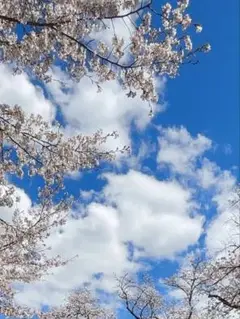 専用ページ