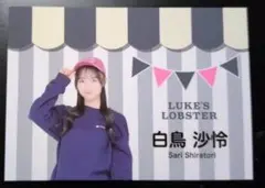 白鳥沙怜 AKB48 LUKE’S LOBSTER 名刺風トレーディングカード