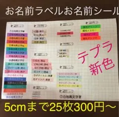 お名前ラベル お名前シール おなまえラベル 整理整頓 衣替え テプラ 防水 薬包