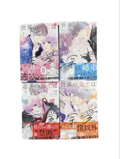 世界の果ては深愛　中野まや花　2〜5巻　4冊セット