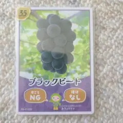 2025年最新】生坂村の人気アイテム - メルカリ