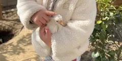 平飼い　烏骨鶏　有精卵　6個パックのサムネイル