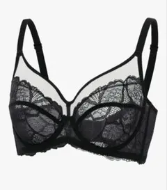 Item thumbnail for item fc380969-d3e2-40ce-b1a3-1a0591ec0d6d