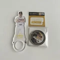 ソフトバンクホークス　近藤健介