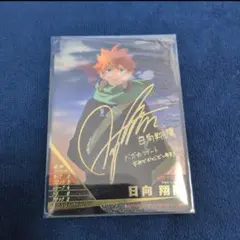 ハイキュー!! バボカ!! BREAK 　秘 ゴミ捨て場の決戦　日向翔陽