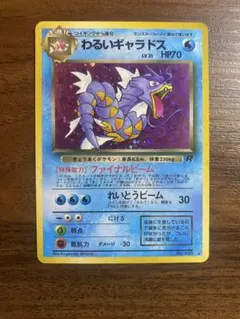 2026年最新】わるいギャラドスの人気アイテム - メルカリ