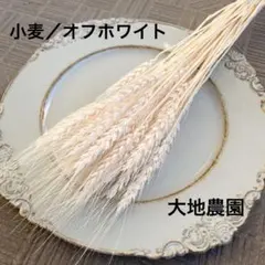 済　くぅちゃん様　ご専用