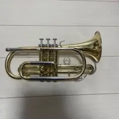 Item thumbnail for item 4770fa9b-68a0-4cb7-a492-36ee68a040a0