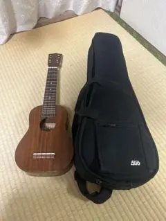 Item thumbnail for item 56e85f82-d6aa-4e68-8abd-a3add06af5f7