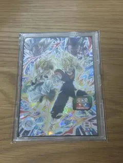 UGM9-SEC2 ベジット