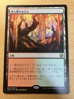 MTG ドライアドの東屋 - メルカリ