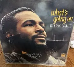 Supreme サングラス Marvin べっこう柄　完売品　ボックスロゴ Supreme サングラス Marvin べっこう柄 完売品 ボックスロゴ