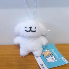 モルチーズ　マスコット