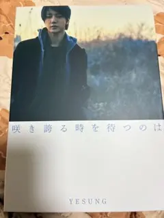 咲き誇る時を待つのは SUPERJUNIOR イェソン アクリルスタンド B