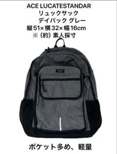 ACE LUCATESTANDAR リュックサック デイパックのサムネイル