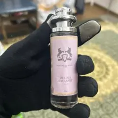 2026年最新】DELINA exclusifの人気アイテム - メルカリ