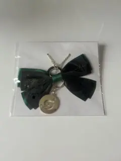 仮面ライダーガヴ シータとジープの永遠の証リボンチャーム 〜これで
