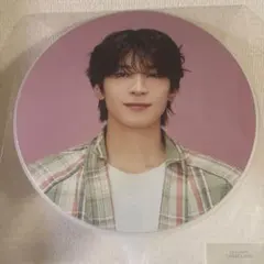 【ウォヌ】seventeen 24 carat land picket うちわ