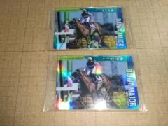 ダイワメジャー　Мデムーロ　サイン　サラブレッドホースコレクション　第２Ｒ　競馬