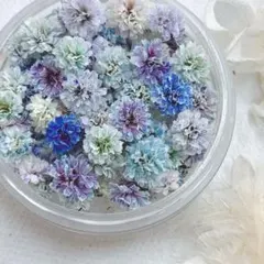 lili.様 リクエスト 2点 まとめ商品