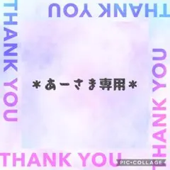 ＊＊あーさま専用＊＊