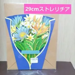 Fondersy ペーパーポップアップカード、永遠のストレリチア